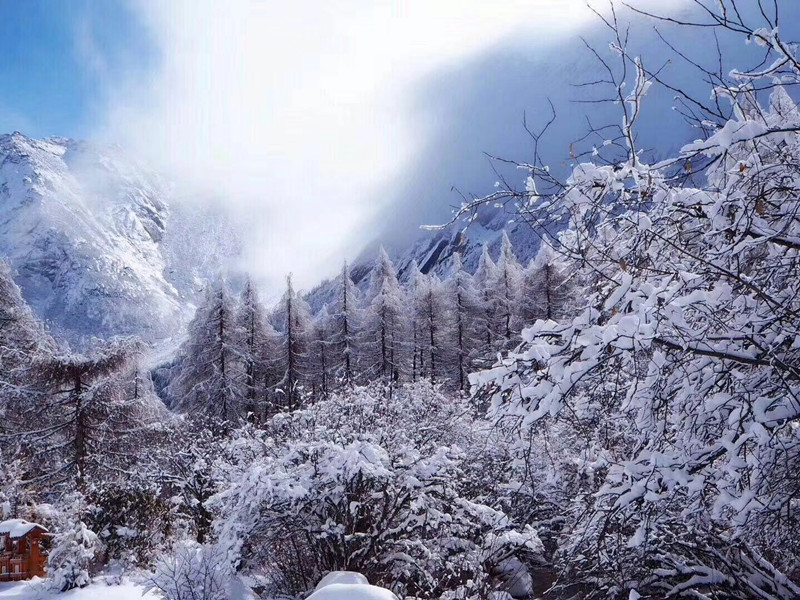 【霧凇|幸福溝】幸福溝到熊貓坪，走進高山草甸， 看最美霧凇