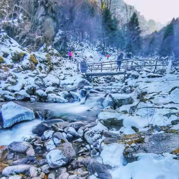 【耍雪|甲爾猛措】魔幻冰雪森林紅石公園，品嘗雪地鐵板燒