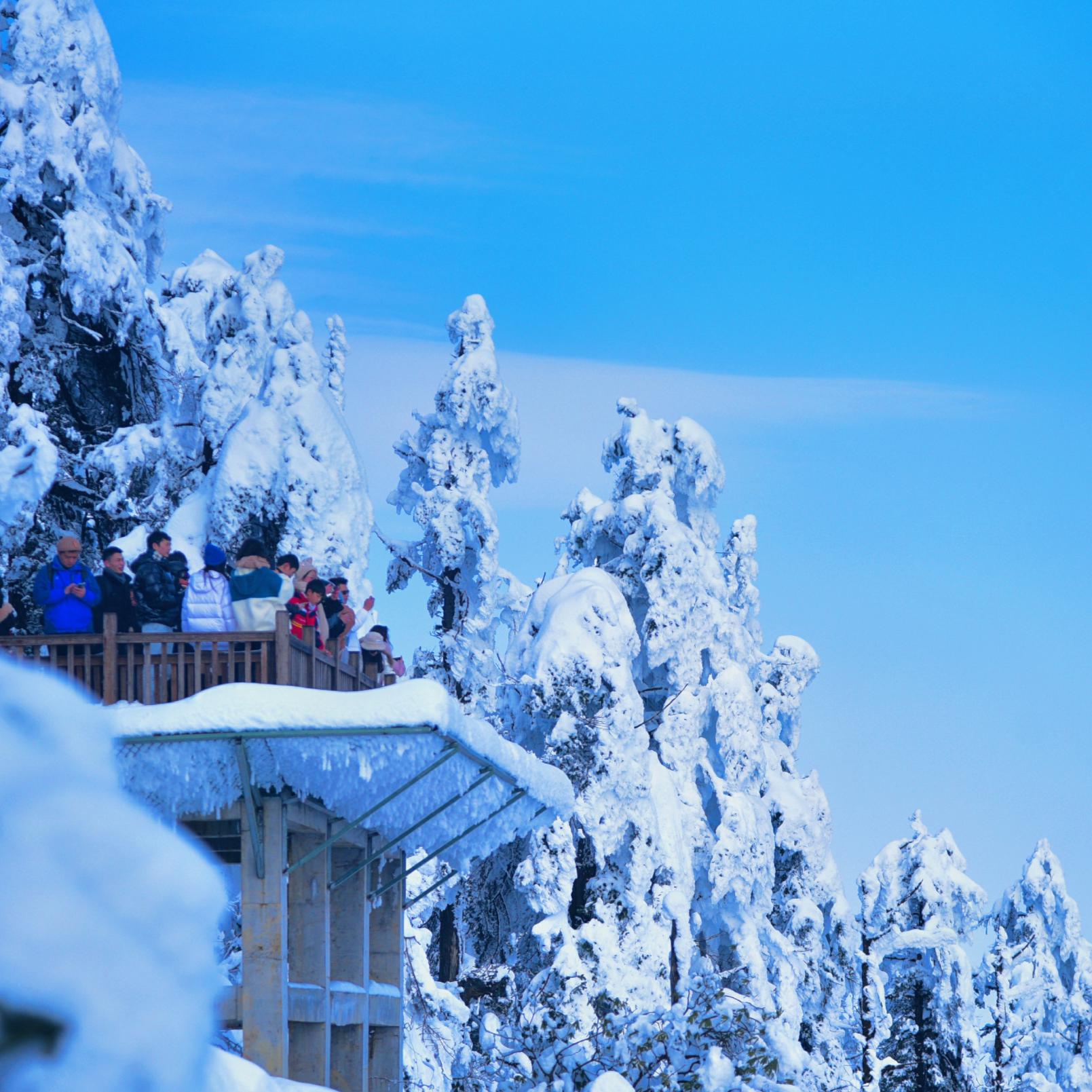 【冰雪|瓦屋山】（含門票）踏雪賞景、觀云海、覓佛光、走進南國的林海雪原