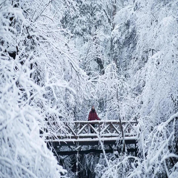 【冰雪|龍蒼溝】宮崎駿的童話森林，冰雪童話的事實(shí)與奧秘