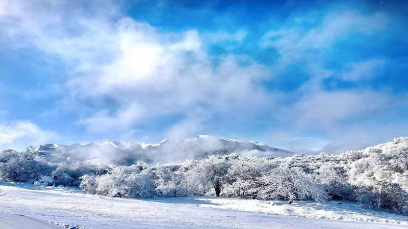 【耍雪|登頂坪】超美小眾耍雪圣地，南國冰雪世界