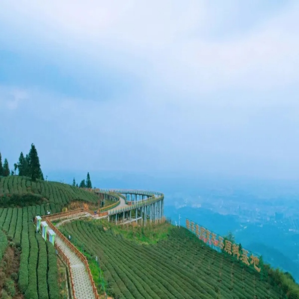 【通關(guān)獎(jiǎng)牌|蒙頂山】漫游世界茶源輕徒步路線，感受蒙頂山茶文化，通關(guān)贏獎(jiǎng)牌